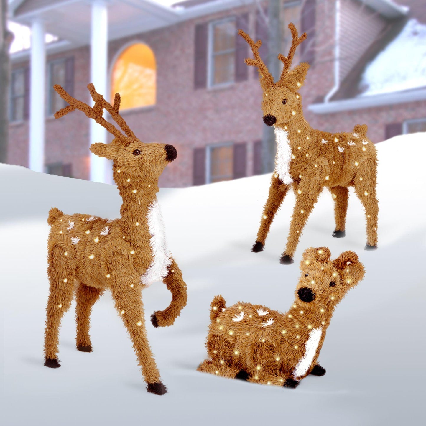 24" Creative Images Brown Resting Reindeer with Spots - Clear Lights