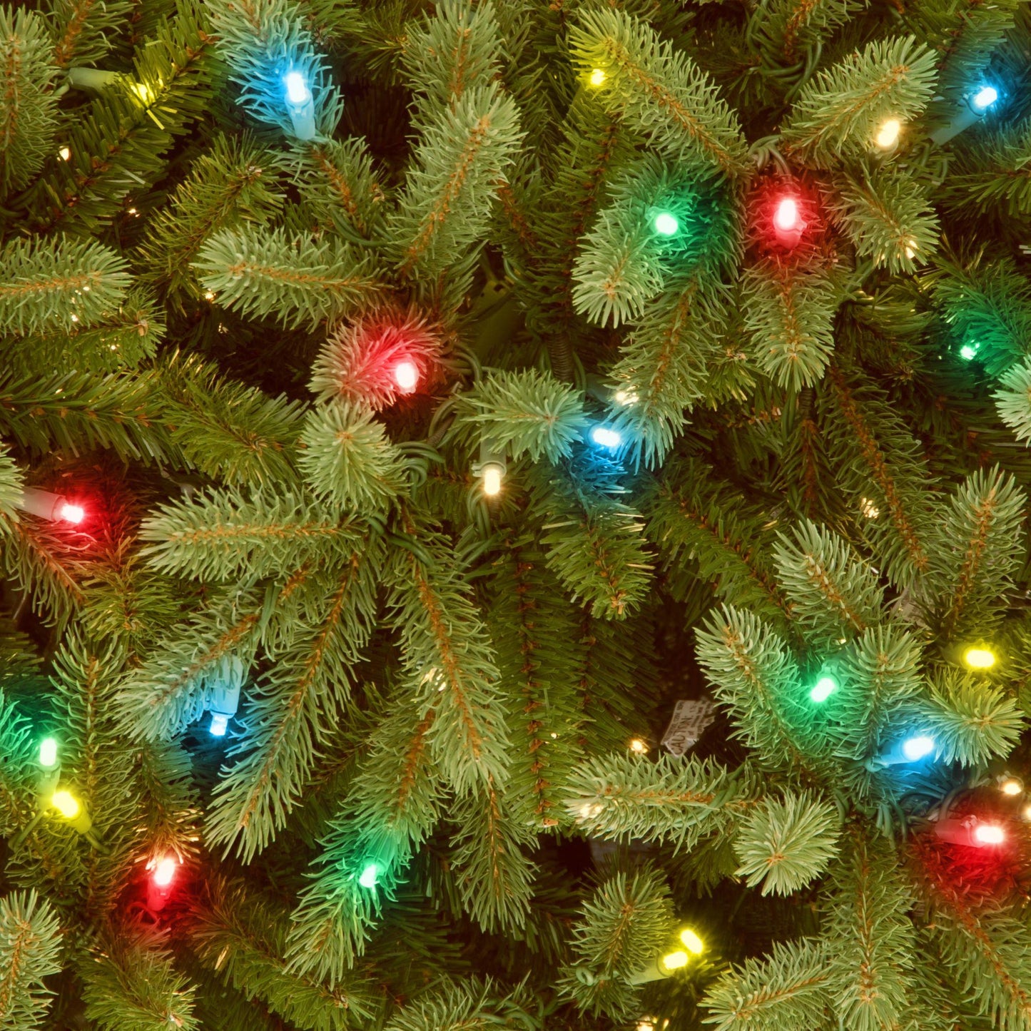 6.5? Pre-Lit Jersey Fraser Fir Artificial Christmas Tree - Multi-Color Lights