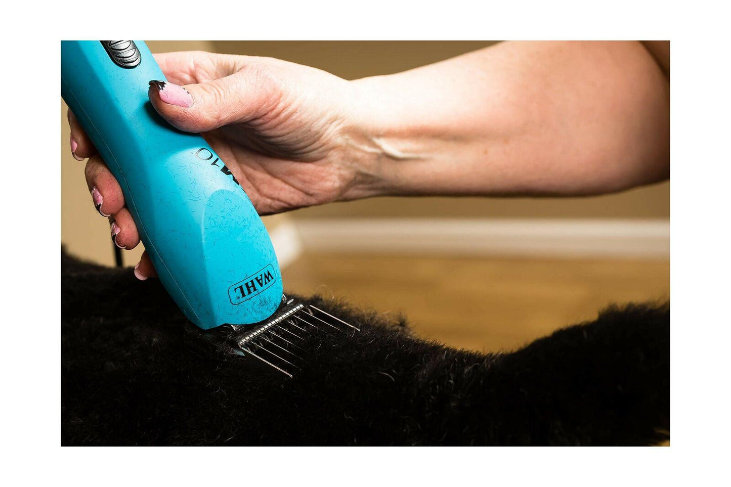 Wahl KM10 2 Speed Brushless Motor Clipper - Turquoise