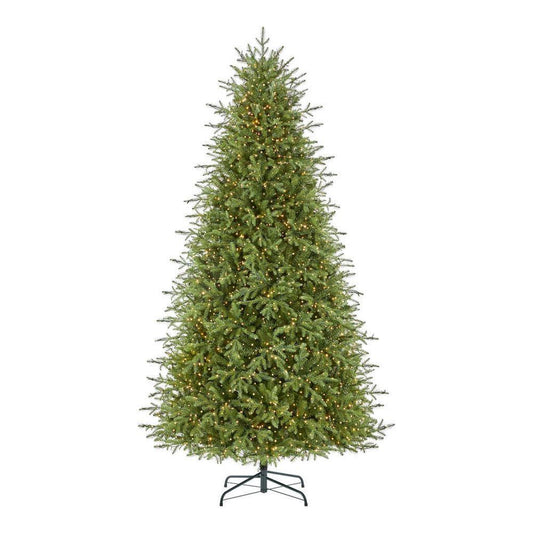 9 ft Grand Duchess Balsam Fir