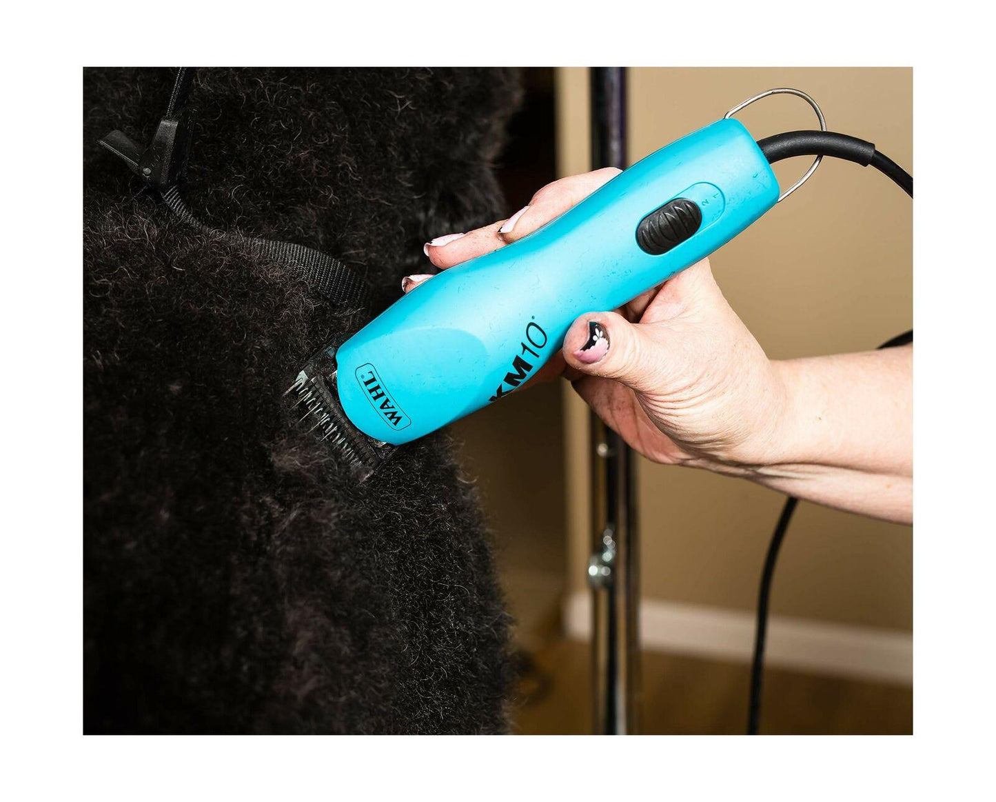 Wahl KM10 2 Speed Brushless Motor Clipper - Turquoise